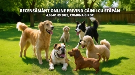 Termenul pentru Recensământul câinilor cu stăpân în comuna Giroc a fost prelungit până la 1 septembrie 2025